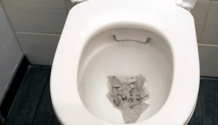 WC Verstopfung Tipps